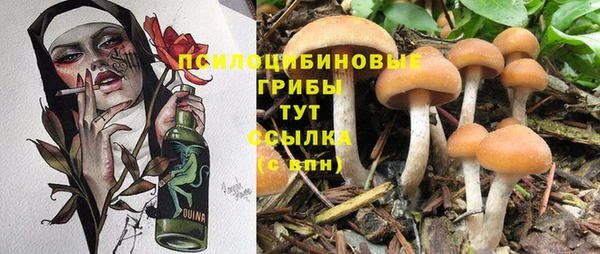 стафф Сосновоборск