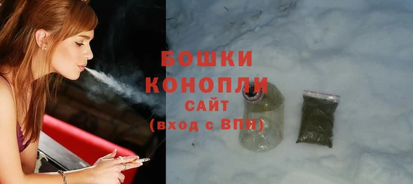 PSILOCYBIN Бородино