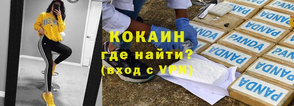 гашик Снежногорск