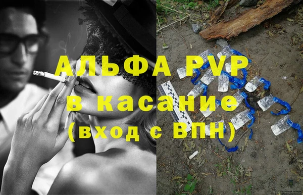 PSILOCYBIN Бородино