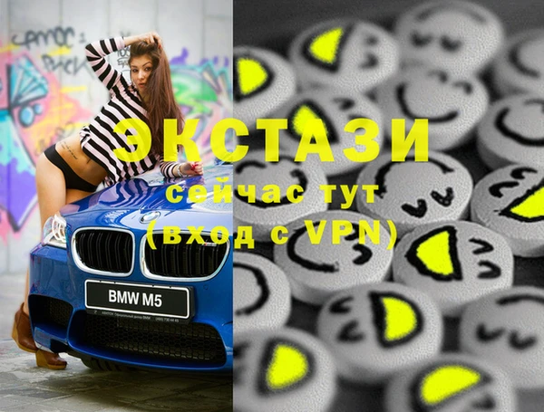 гашик Снежногорск