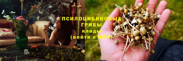 PSILOCYBIN Бородино