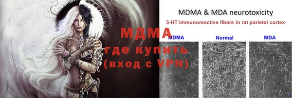 PSILOCYBIN Бородино