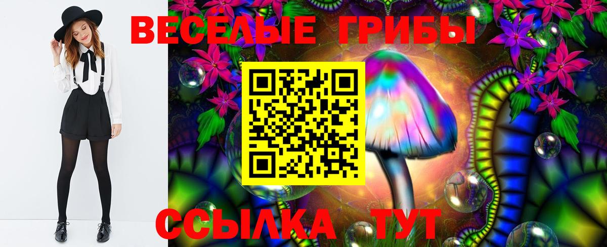 Галлюциногенные грибы Magic Shrooms  Псилоцибиновые грибы прущие грибы  Рузаевка  Вход с VPN 